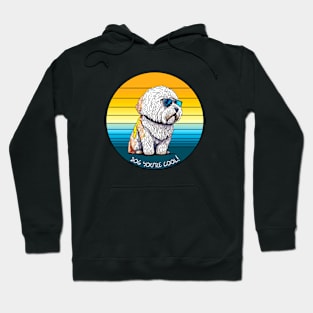 Dog You're Cool Hoodie